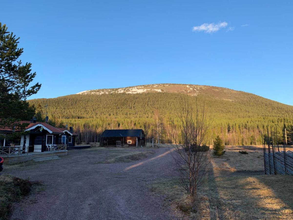 Nymon Mountain Lodge Stöten Exterior foto